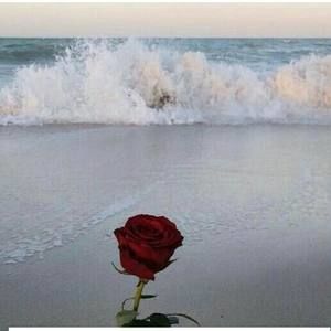 Meet your Posher, Asmaa